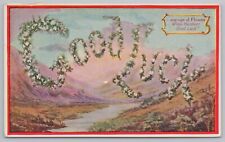 Greetings~Large Letter Language of Flowers White Heather: Good Luck~Vintage PC picture