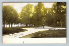 Winona Lake Indiana, THE FOUNTAIN, Scenic View, c1909 Vintage Postcard picture