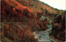 Cold River Gorge From Florida Notch Mohawk Trail Massachusetts MA Postcard UNP picture