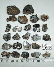 Sagenite var of Rutile with hematite (26 pieces lot)  picture