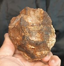 615g/1.36 lb uncut thunderegg agate stone rough, collectible, specimen, rock picture