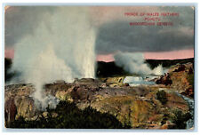 c1910 Prince of Wales Feathers Pohutu Waikorohihi Geysers New Zealand Postcard picture