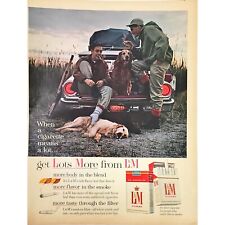 L&M Cigarettes 2 Guys Hunting With 2 Dogs Vintage Oct 1963 Print Ad 10x13 picture