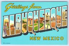 Postcard Albuquerque New Mexico Large Letter Greetings picture