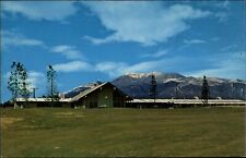 El Rancho Verde Country Club ~ Rialto California ~ unused vintage postcard picture