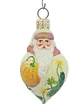 Patricia Breen Miniature Santa Poeticus Gourds Fall Christmas Ornament CATZ picture