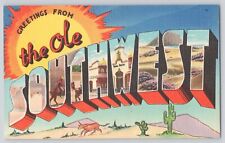 Postcard Large Letter Greetings From The Ole Southwest Desert Vintage Unposted picture
