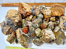 20 lb set 1 of petrified wood some agate some opal super deal lapidary assorted picture