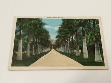 Florida Royal Palms Avenue Royal Vintage Postcard  picture