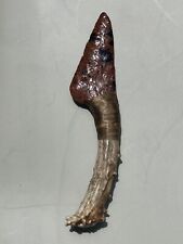 Native American Knife Mahogany Obsidian With Deer Antler Handle picture