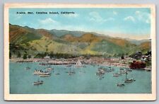 Avalon Bay Catalina Island California c1920s Postcard picture