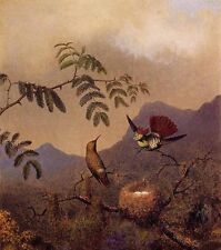 Huge Oil Martin Johnson Heade - Frilled Coquette birds singing in sunset canvas picture