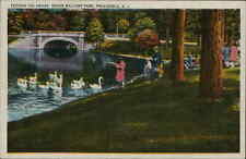 Postcard: FEEDING THE SWANS. ROGER WILLIAMS PARK, PROVIDENCE, R. I. picture