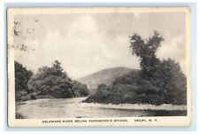 1922 Delaware River Below Sherwood's Bridge Delhi New York NY Vintage Postcard picture
