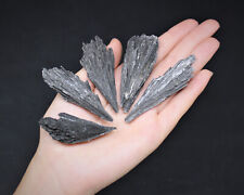 LARGE Natural Black Kyanite Blades - Choose Size (Kyanite Crystal, Kyanite Fan) picture