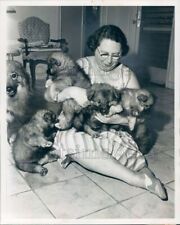 1964 Press Photo Mrs Richard Goodman With Cute Keeshond Puppies picture
