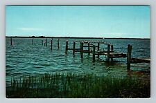 FL-Florida, Gulf Mexico, Pelicans, Gulls, Clear Blue Water, Vintage Postcard picture