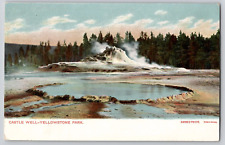 1904-06 Yellowstone National Park HAYNES UDB Castle Well Germany Unused *Rare picture
