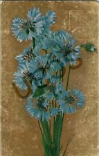 1909 Postcard Blue & White Flowers Postmarked From Jack & Pensacola R.P.O. picture