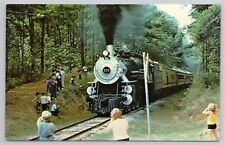 Postcard Texas State Railroad Locomotive Number 500 picture