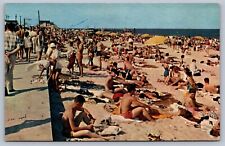 Postcard Buckroe Beach VA 1965 Crowded Beach Scene picture
