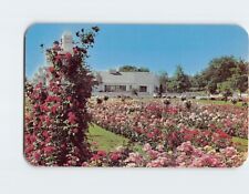 Postcard Jackson & Perkins Rose Garden Newark New York USA picture