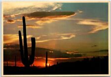 Postcard - Beautiful Desert Sunset picture