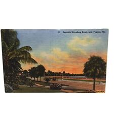 Postcard 1953 Bayshore Boulevard Tampa FL Divided Posted Linen picture