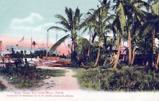 MIAMI FL - Royal Palms And Hotel Postcard - udb (pre 1908) picture