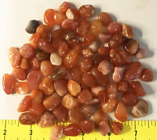 AGATE CARNELIAN EYE size Small polished -   1/2 lb picture