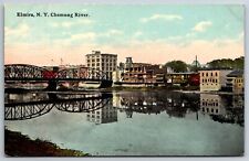 Elmira New York~Chemung River Bridge~City Panorama~c1910 Postcard picture