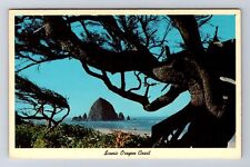 OR-Oregon, Scenic Oregon Coast, Antique, Vintage c1962 Postcard picture
