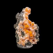 Thomsonite Orange Rare Find Natural Mineral Specimen # B 6867 picture