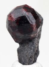 Alaskan Almandine Red Garnet Crystal Cluster Mineral Specimen Schist ALASKA picture