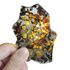 49G seymchan meteorite slice TA233 picture