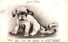 Dog Puppy A/S V Colby Put Shoes In Your Trunk Humor 1909 postcard EQ5 picture