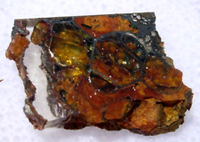 .612 grams 14x10x2mm Jepara Meteorite ( Pallasite PMG) slice fragment with a COA picture