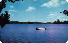 Greetings from Elk Rapids MI Out for the Day Lake Fishing Boat Chrome Postcard picture