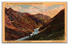 Snake River Grand Canyon Idaho ID Oregon OR UNP Linen Postcard N26 picture