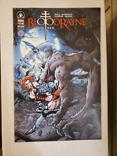 BloodRayne #1 Echo 3 Worldwide Variant Cover Limited 500 Copies Digital Webbing picture