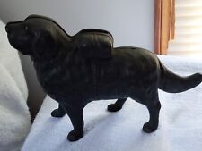 I Hear A Call Cast Iron Penny Bank St Bernard Dog Antique Dated 1900 AC Williams picture
