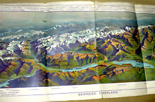 VINTAGE PANORAMIC MAP BERN BERNESE OBERLAND SWITZERLAND JUNGFRAU c.1920 picture