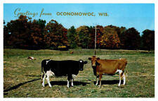 Postcard FARM SCENE Oconomowoc Wisconsin WI 6/7 AQ1561 picture