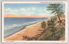 1951 Postcard Lake Michigan Beach at Douglas MI Vintage Linen picture