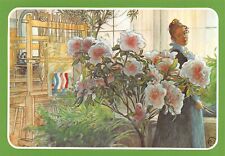 Carl Larsson (1853-1919) AZALEA, AKVARELL, 1906, 6x4 Postcard 6392c picture