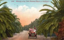 Postcard CA Motoring along Palm Bordered Roads in California Vintage PC H7673 picture