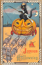 c.1910 Black Cat Riding Jack O' Lantern Carriage Halloween post card picture