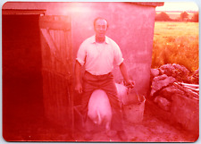 Vintage Found Photo - Funny Farmer Man Rides A Big Pig On A Pig Farm In Ireland picture