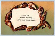 Palmyra Wisconsin Postcard Greetings Shrimp Greatest Spring World Embossed c1910 picture