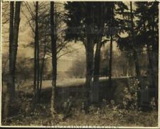 1928 Press Photo Charming Vista At Nomandy Park Between Seattle And Tacoma picture